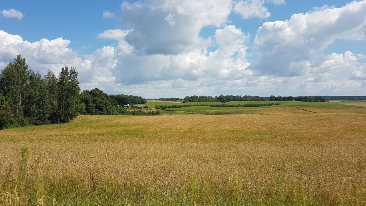 Grazinos Sodyba Telšiai エクステリア 写真